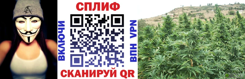 Купить где  Мыски  МАРИХУАНА LSD WEED 